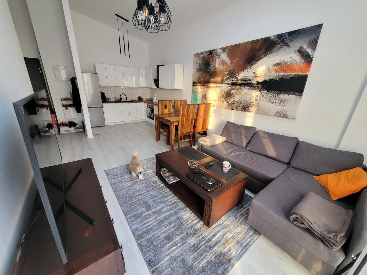 Apartment W Starym Mlynie Loft Rozanka Breslau
