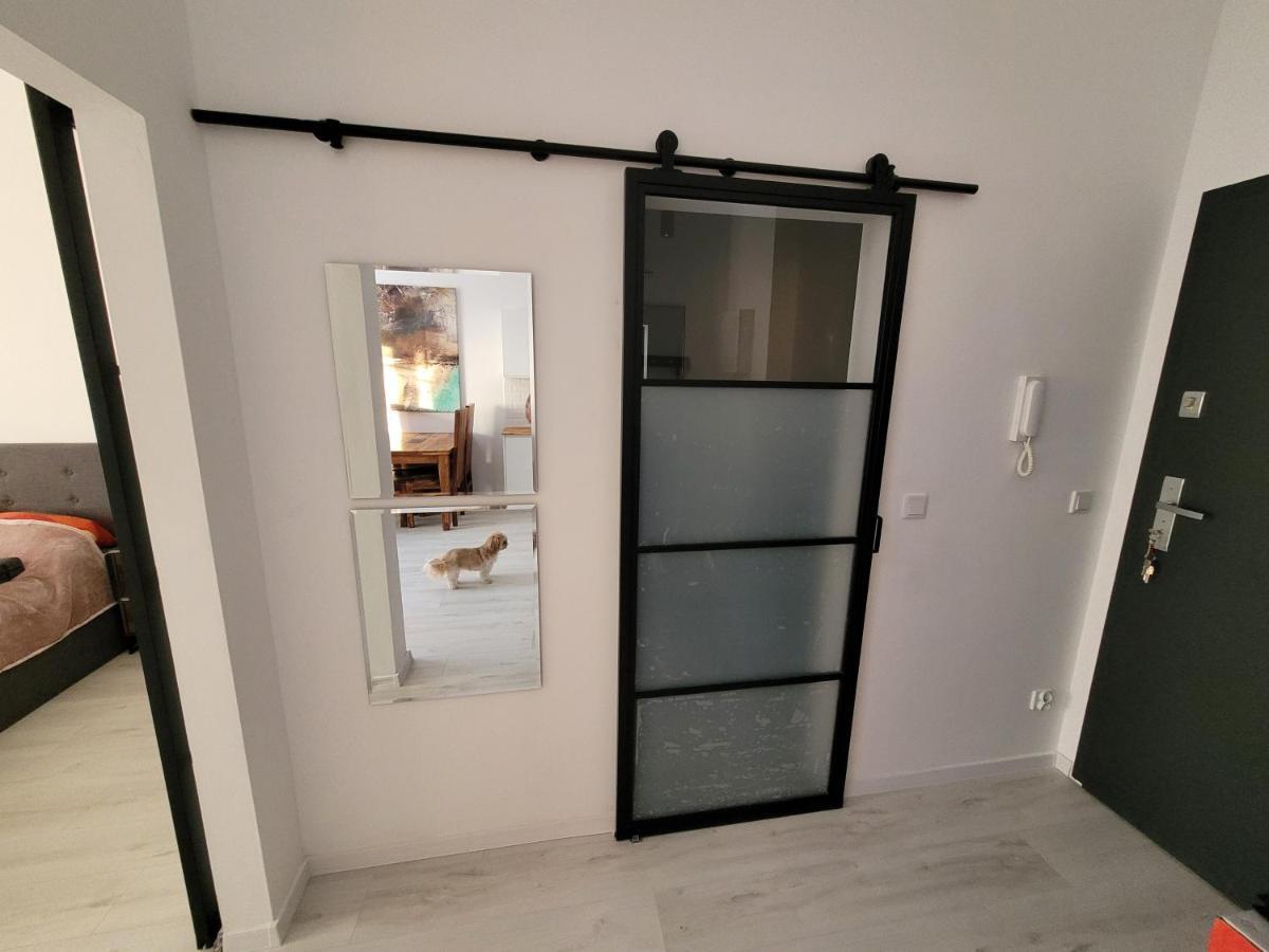 Apartment W Starym Mlynie Loft Rozanka Breslau
