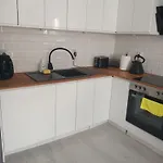 Apartament W Starym Mlynie Loft Rozanka