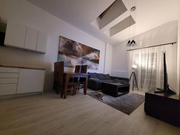 W Starym Mlynie Loft Rozanka Apartment